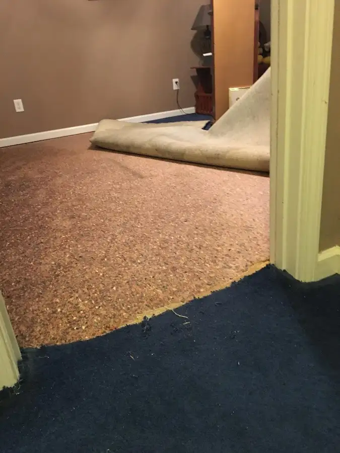 Carpet pad removal revealing water damage during Water Mitigation Services in Kettering
